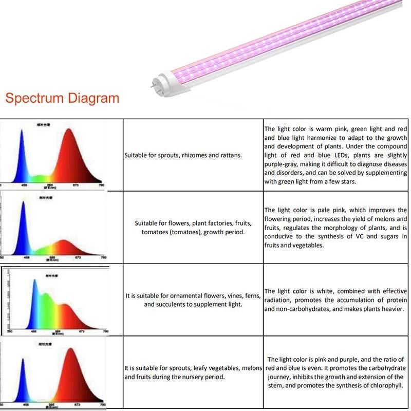 LED Plants Light 1200mm Fleshy Vegetables and Flowers Grow Light in Greenhouse T8 Lamps
