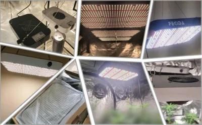 Indoor Waterproof 80W Full Spectrum Hanging Professional Samsung, Osram, Wholesale LED Panel Grow Lamp Quantum Board with Daisy Chain Function