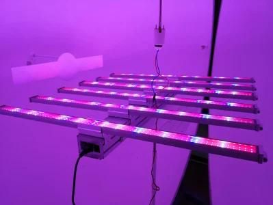 Best Seller 600W LED Grow Light for Medical Plants and Greenhouse