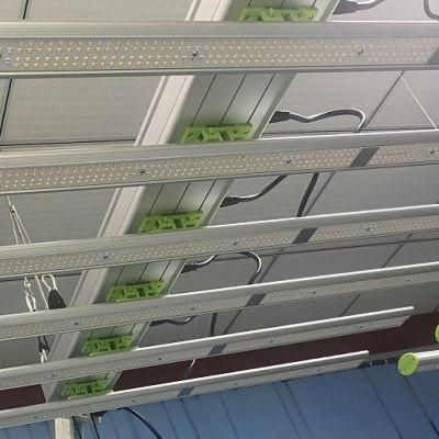1000W 10bars Samsung 301b Sulight LED Grow Light for Indoor Garden