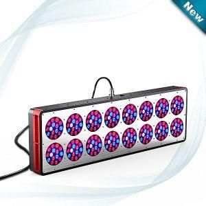 Polo 16 LED Grow Lights Best for Your Indoor Planting