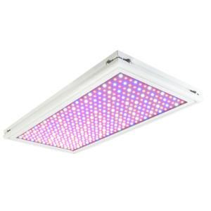 New Samsung Ppf 320W 500W 640W 600W Hydro Lm301b Lm301h LED Grow Tent Light Cheap