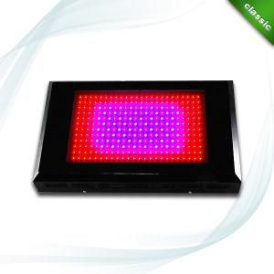 864W 288PCS*3W LED Grow Light for Plant Grow (KJ-G288*3W)