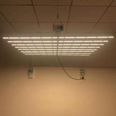 300W Quantum Plant Fill Light for LED Plant Growth Light