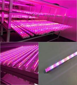 Amazon Grow Light Tube T8 12W 18W 22W 28W 32W Drug Planting Immediate Shipment Support Dimming on Site