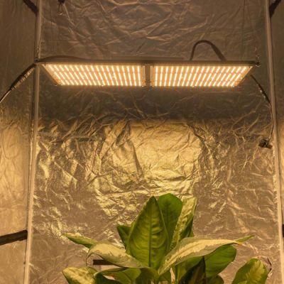 240W IR UV Home Depot LED Grow Light for Commercial Indoor Plant
