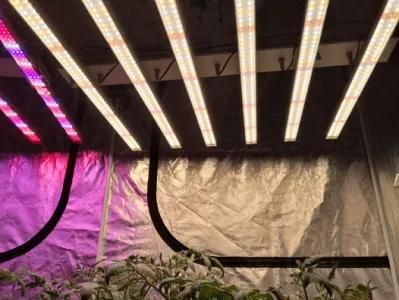 Full Spectrum 6/7/8/9/10/11/12 Bars 400W/600W/800W/1000W LED Grow Light for Vertical Farming