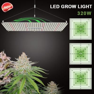 Wholesale Plant Grow Lights Full Spectrum Timer Dimmable Indoor Greenhouse LED Plant Growth Lights Pvisung LED Grow Light UV IR Lm301h