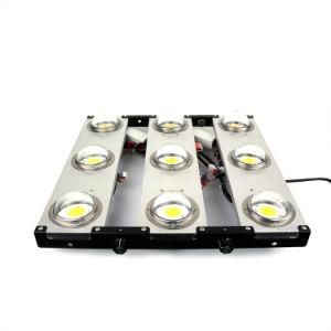 Hot Selling 1000W 3500K COB Full Spectrum Grow Light Cxb3590 Dimmable Grow Light for Greenhouse