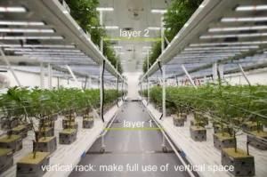 400W Hanging Octopus Style Full Spectrum Indoor Greenhouse LED Grow Light