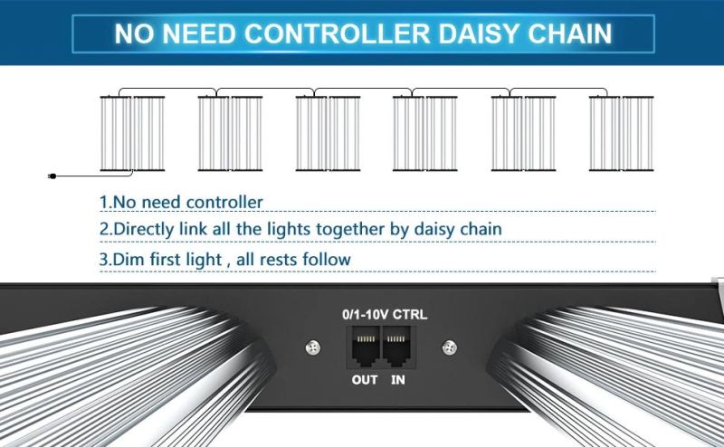 2021 LED Grow Light Using Newest Lm301b for Indoor Plants Growing Flower Stage Seeds Vegetative Stage Germination