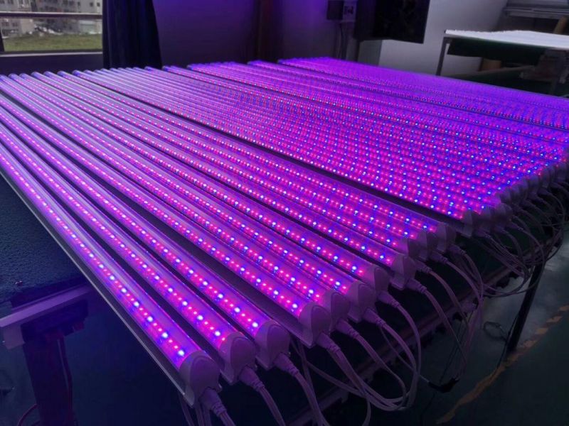 Greenhouse Hydroponic Aeroponic System Full Spectrum LED Grow Light