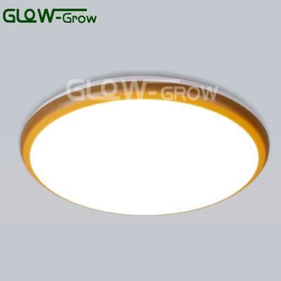 Tri-Proof Waterproof Dustproof Anti-Corrosion IP6 Wall Light LED Ceiling Light for Courtyard Bedroom Kitchen Downstair Home Decoration