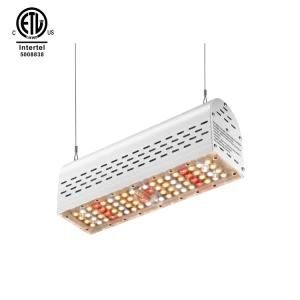 High Ppfd Greenhouse Spydr LED Grow Light with Full Spectrum