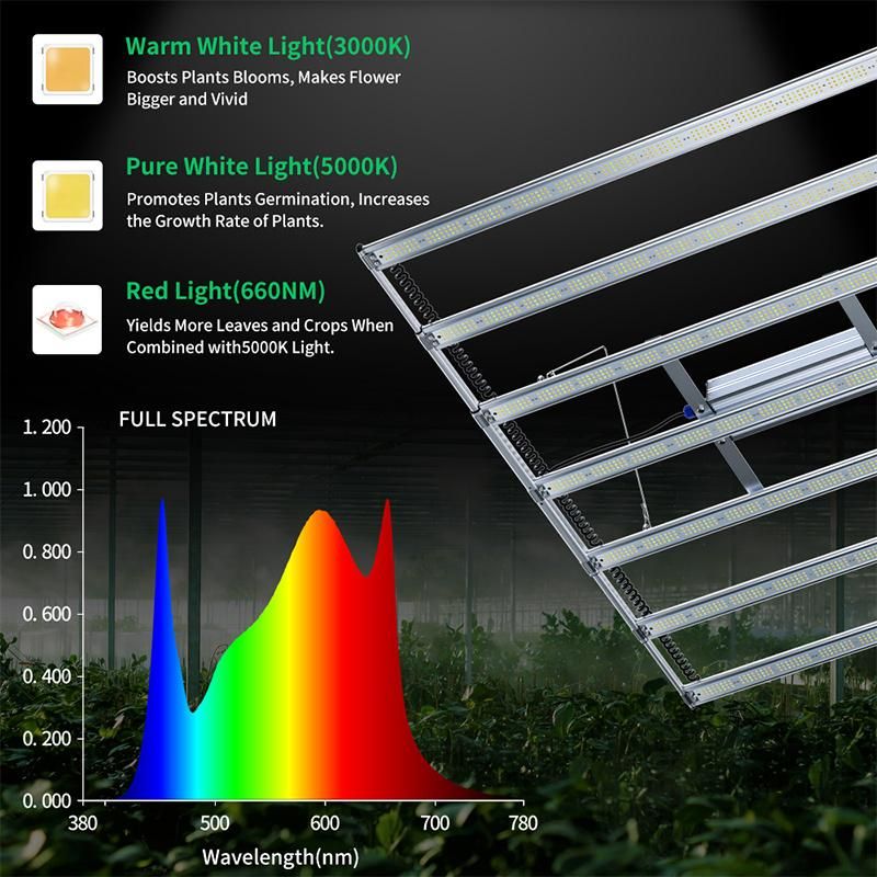 Hydroponic Vertical Farming Commercial 800W LED Grow Lights