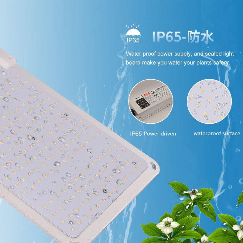 UL Certificate LED Grow Panel Light Samsumg 100W 200W 400W 600W Red for Indoor Farm Greenhouse Plant Growing
