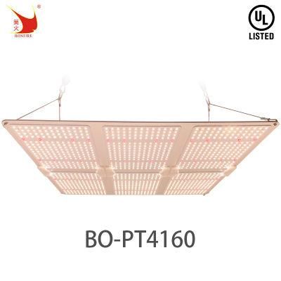 Bonfire 600W LED Panel Grow Light Red for Indoor Farm Greenhouse UL Certificate Plant Growing