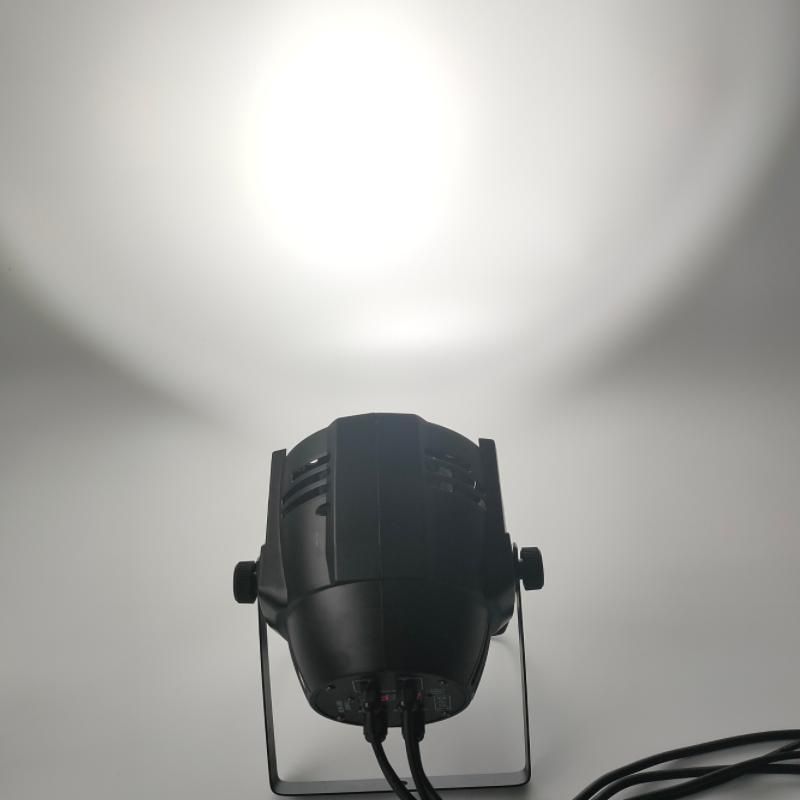 Professional Stage Lighting DMX 512 Control 100W Warm White COB LED PAR Light