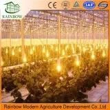 LED Grow Light/Lighting System for Garden Greenhouse