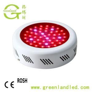 China Full Spectrum Greenhouse Flower Medical Veg Plant UFO 75W LED Grow Light