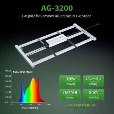 320W Full Spectrum Passive Cooling LED Grow Light for Indoor Plants