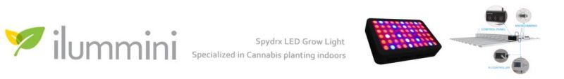 600W 640W 650W High PAR Full Spectrum LED Grow Light LED Grow Panel for Greenhouse Planting
