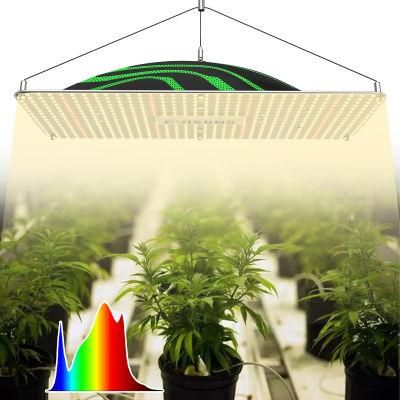 320W Samsung Lm301h 480 660 Nm Spider Style LED Grow Lights Pvisung Small LED Grow Light
