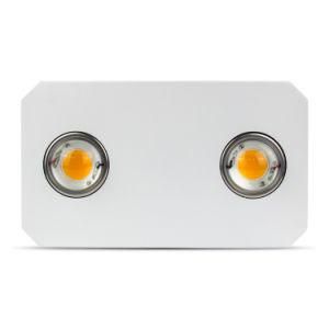 Full Spectrum High PAR Value Citizen Clu048/058 COB Chip 300W Smart LED Grow Light Horticulture