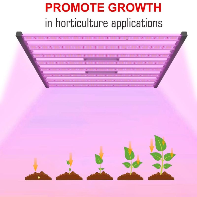 2021 Hot Sale LED Full Spectrum Grow Light for Greenhouse