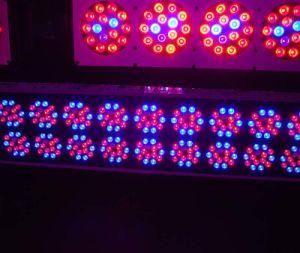 20 LED Grow Light