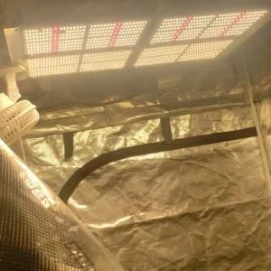 New Design 400W Greenhouse Horticulture LED Plant Grow Light for Vertical Farming Horticulture