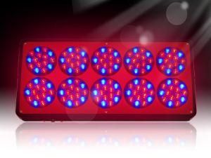 337~364W LED Grow Light 150 PCS 3W LEDs for Hydroponics Lighting