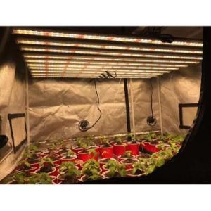 New Arrival Dimmable Grow Light Hydroponic LED Grow Light for Indoor Plants