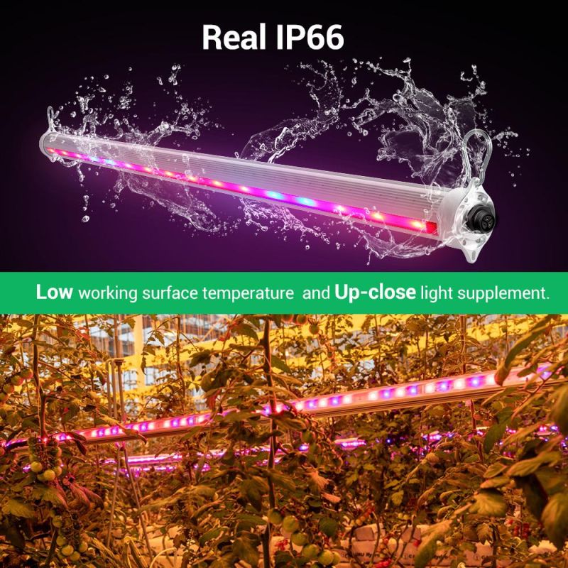 Double Side Four Side Light Distribution LED Interlighting LED Grow Light Bar Tube Used for Vine Corps