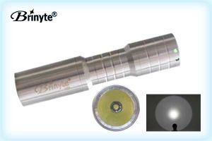 Brinyte M25 Silver Mni Keychain Light Stainless Steel Small Torch