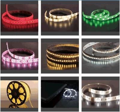 2700K-6500K Flexible Christmas Decoration LED Lighting Popular Hot Sale Advertising LED Light