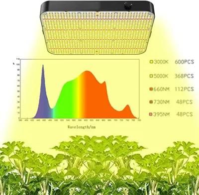 Wholesale Dimmable Full Spectrum Plant 520W LED Quantum Board for Indoor Plants Hydroponic Veg Succulent Seedling, Daisy-Chain Design