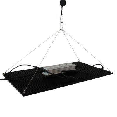 OEM/ODM LED Grow Light Tent Supplier with ETL Approve Home Grower Hobby Grower 4X4FT Grow Tent