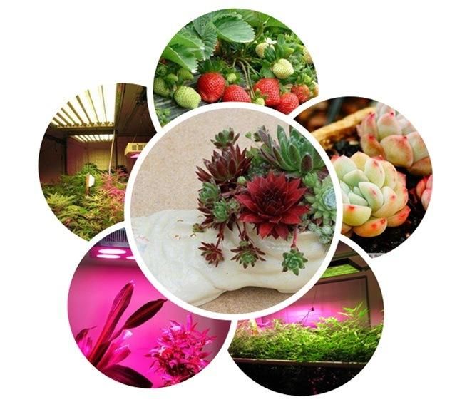 120W LED Grow Light for Indoor Plants, Horticulture Light for Indoor Farming, Dimmable LED Light, RoHS