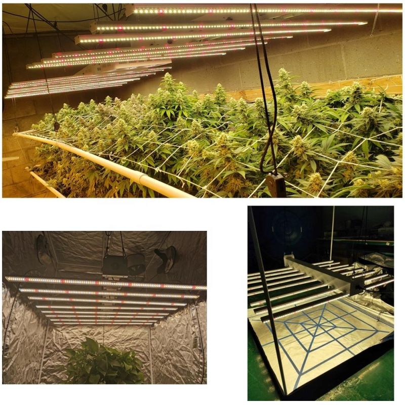 Vertical Indoor Meijiu Smart Control Potted Waterproof LED Grow Light