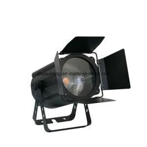 Newest Product 200W COB PAR Light with Zoom Lighting Equipments