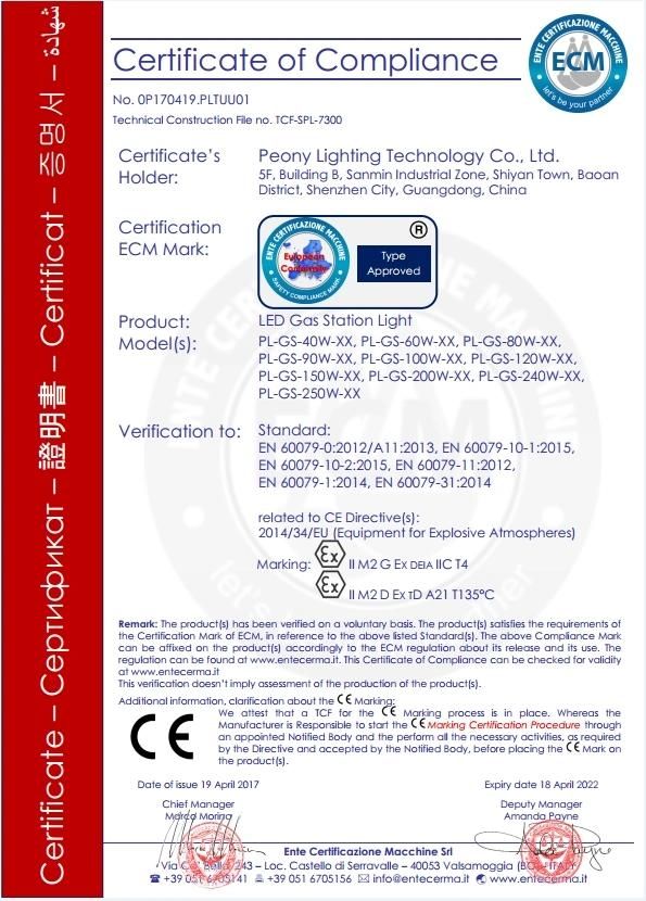LED Canopy Light Atex Approved AC90V-305V IP65 High Bright 200W LED Gas Station Light