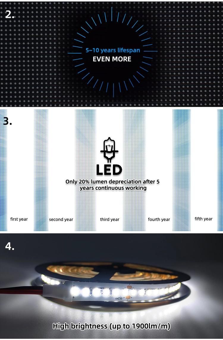 High Quality Spot Supplies Factory Price Wholesale Safety SMD 2835 5050 Low Voltage Volt 24V IP20 5500K Linear LED Strip Light