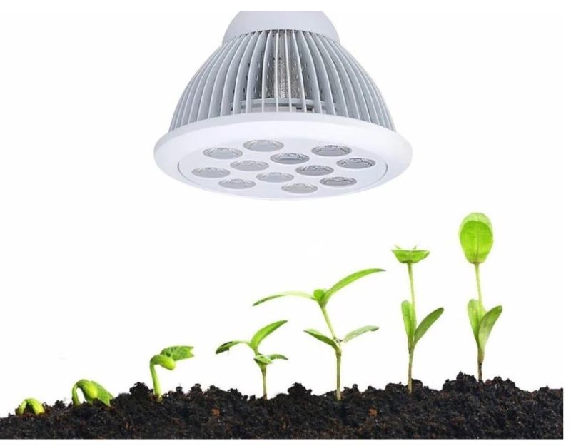 Low Power 12W/24W Chloroba2 LED Grow Light with Full Spectrum