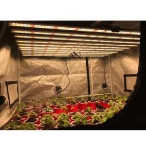 Bluetooth Dimmable Strip Grow Light 600 Watt Lm301h LED Grow Light
