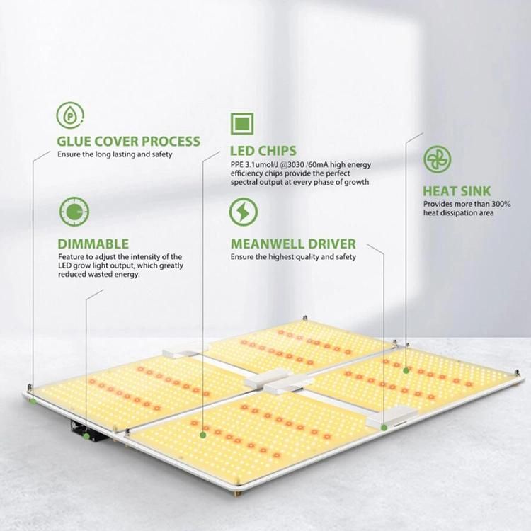 Lm301b V2 Dimmable LED Grow Light Indoor Hydroponics Grow Tent Using LED Panel Light