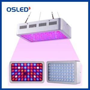 High Efficiency LED Grow Light for Hydroponic Indoor Plants with Switching Full Spectrum LED Chip Vegetable LED Grow Light