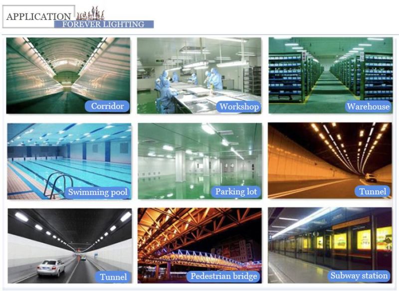 IP65 LED Tri-Proof Light, LED Lighting Fixture, LED Linear Light, LED Pendant Light for Warehouse