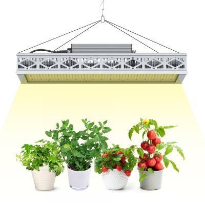 ETL Listed Commercial Waterproof 320W Dimmable Horticulture LED Grow Light