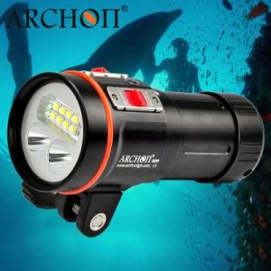 Professional W43vp 5, 200lm Multifunctional Diving Light with 1&quot; Ball Mounting Bracket